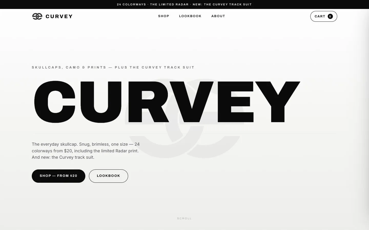 shopcurveye.com homepage, built by WIT Solutions